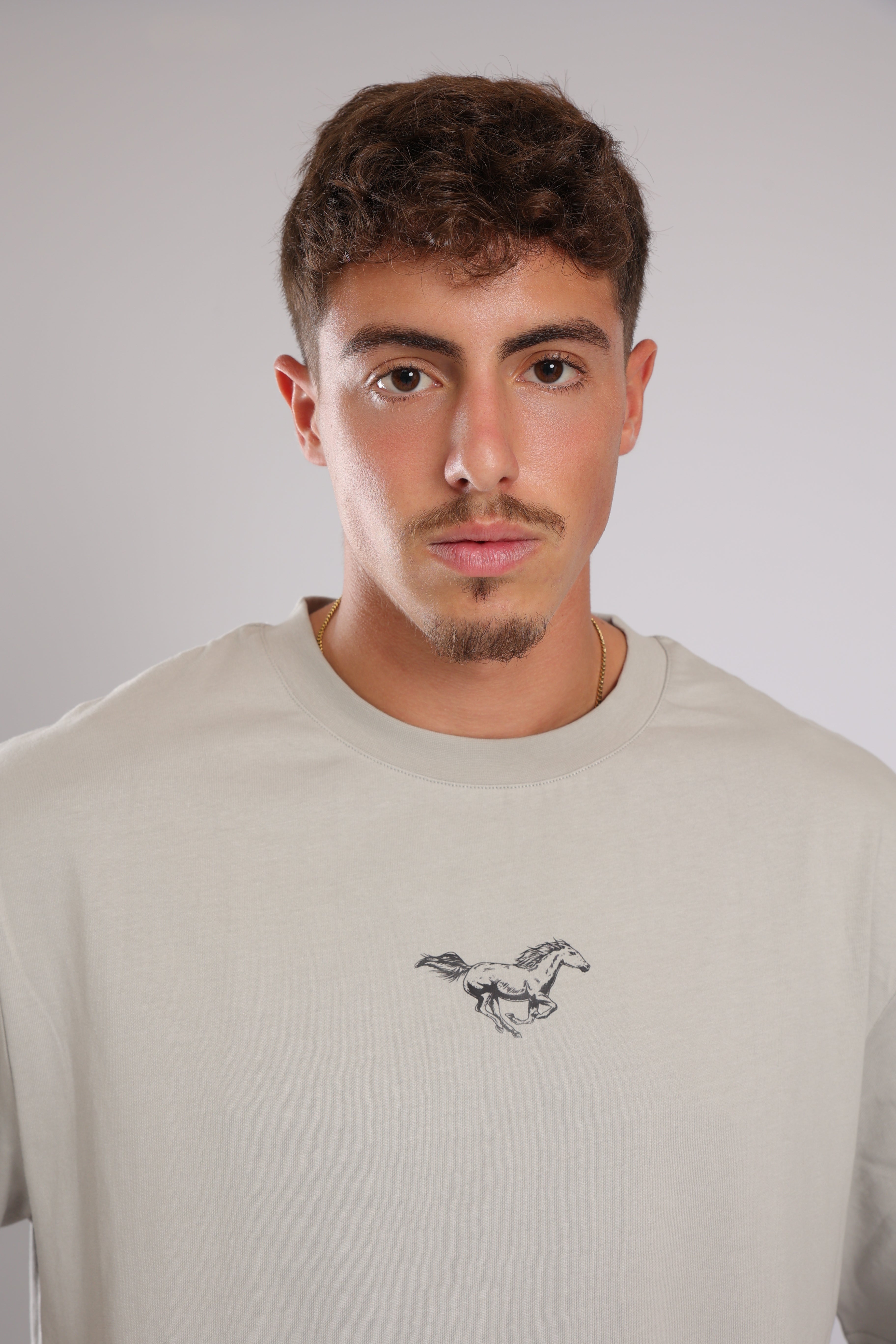 חולצה WILD HORSES - אפור